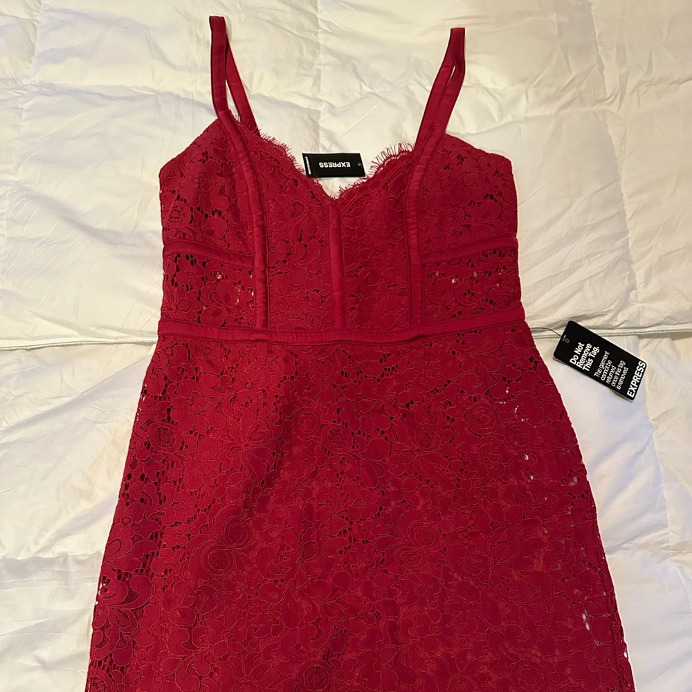 Express lace burgundy dress. Never worn, new with tags.